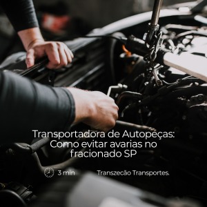 Transportadora de Autope�as: Como evitar avarias no fracionado SP